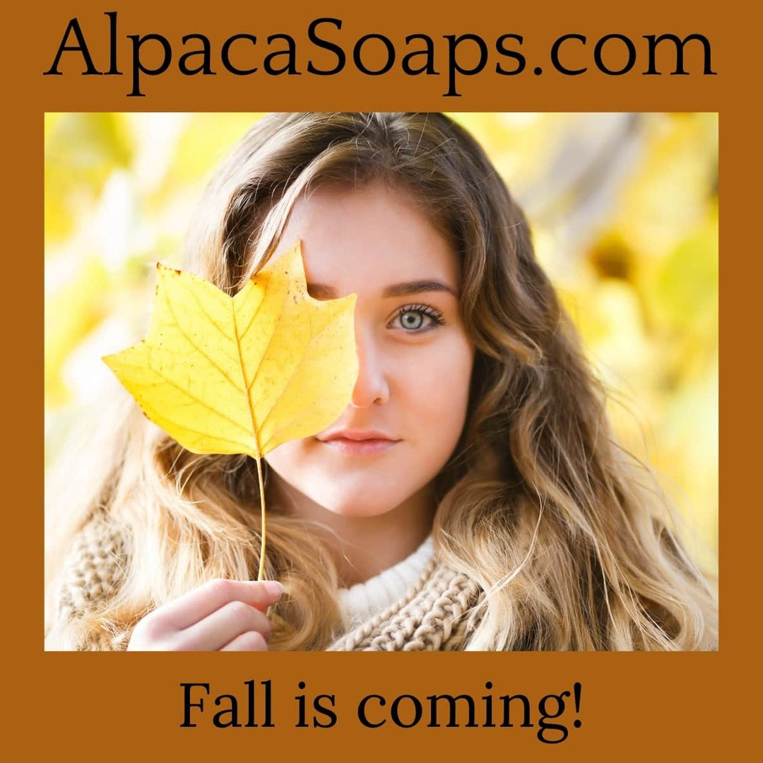 Tomorrow Marks the Beginning of Autumn