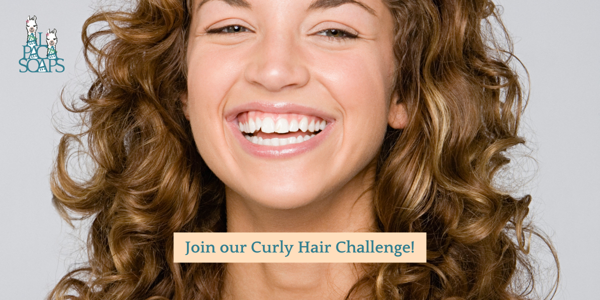 Image of woman with curly hair for Blog post: AlpacaSoaps Curly Hair Challenge