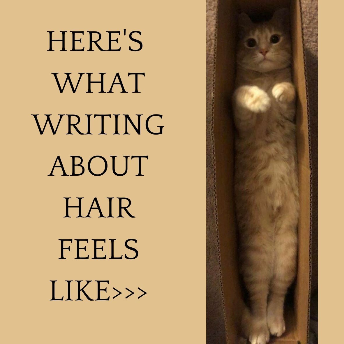 artwork on sharing AlpacaSoaps Alpaca Soaps product details