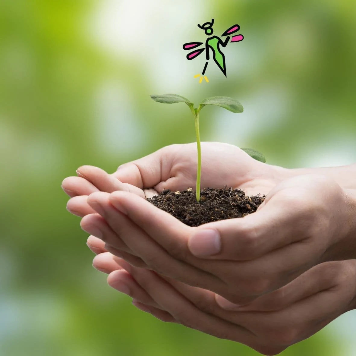 Seedling grown inside cupped hands AlpacaSoaps Alpaca Soaps