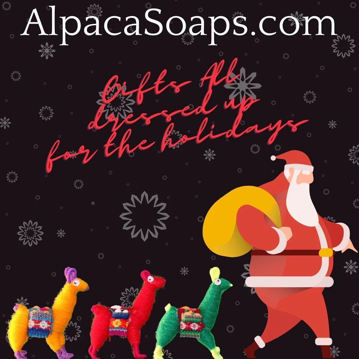 Santa followed by Peruvian alpacas AlpacaSoaps Alpaca Soaps