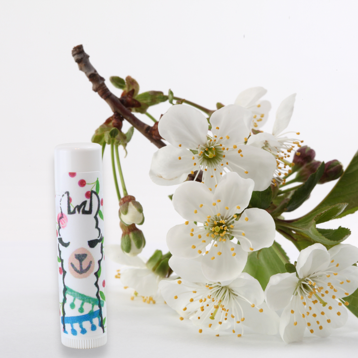  Mon Cherry Flavored Lip Balm in photo with cherry blossom branch Alpaca Soaps, AlpacaSoaps