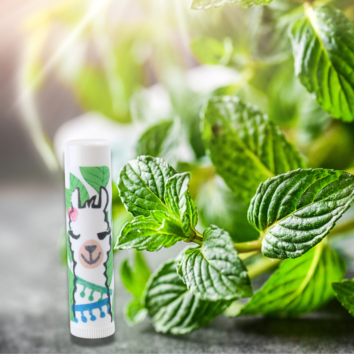 Double Mint Flavored Lip Balm in photo with bouquet of mint Alpaca Soaps, AlpacaSoaps