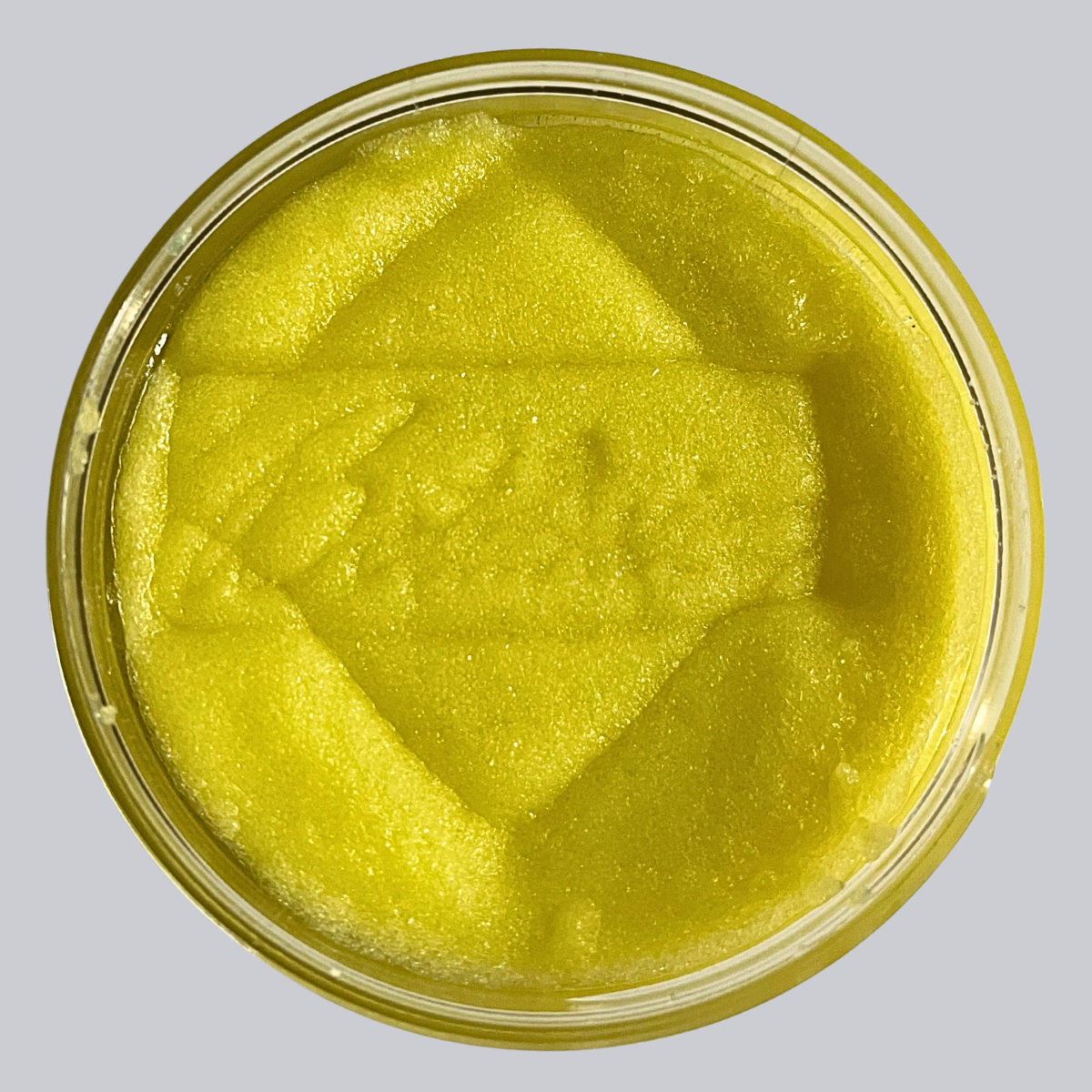 Open jar of sugar body scrub showing the texture, stamped "Botanica" AlpacaSoaps Alpaca Soaps, yellow color, Lemon Verbena