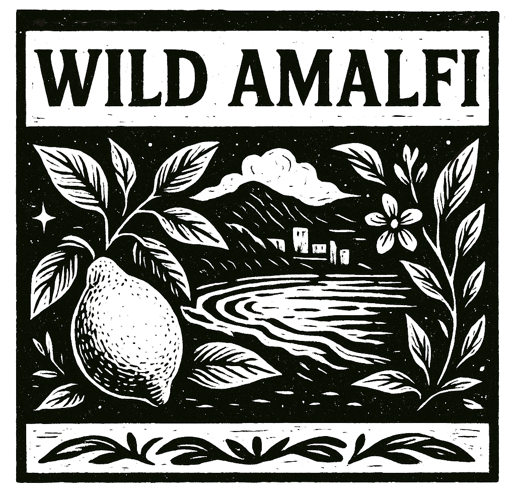 Decorative logo with 'Wild Amalfi' text, lemon, leaves, and a coastal mountain landscape.