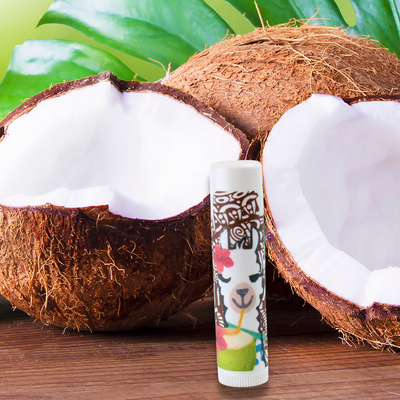 Coconut Flavored Lip Balm in photo with coconuts Alpaca Soaps, AlpacaSoaps