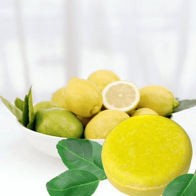 Lemons and Lemon Verbena shampoo bar still life. Alpaca Soaps AlpacaSoaps