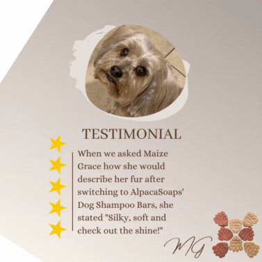 5 Star Testimonial of Maize Grace. Dog Shampoo Bar. Doggie Shampoo Bar. AlpacaSoaps AlpacaSoap